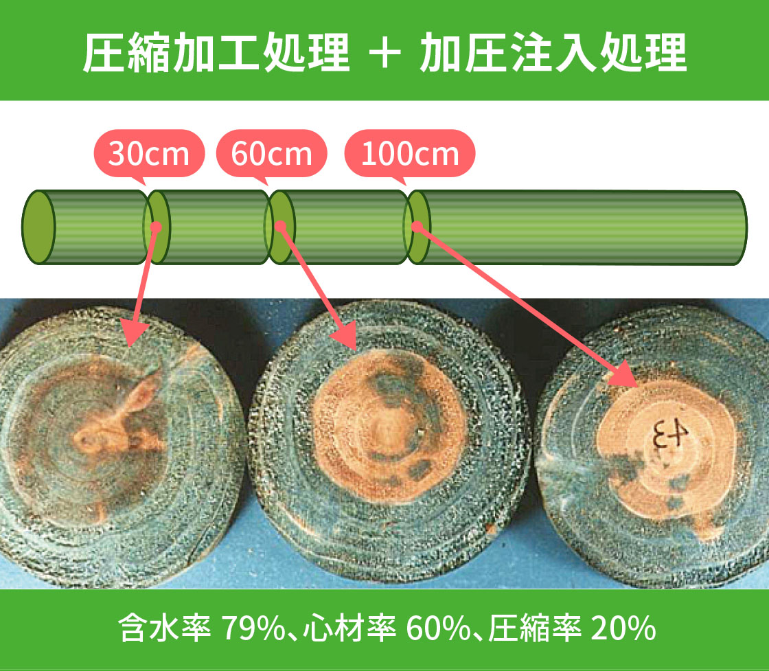 圧縮加工処理＋加圧注入処理