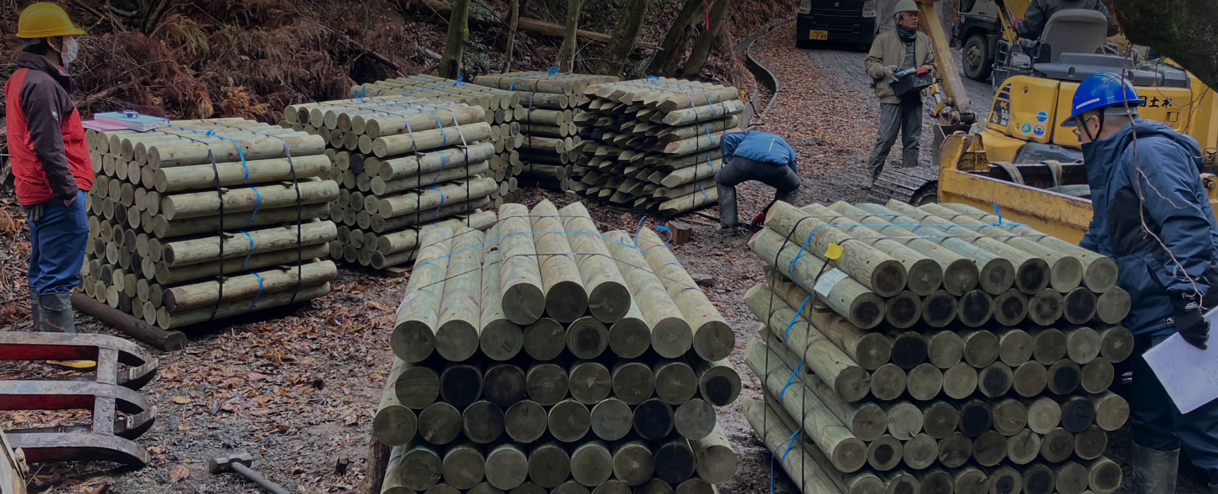 O&Dウッドの概要