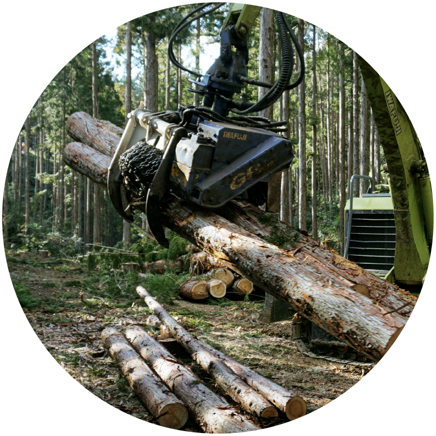 カーボンニュートラルの実現へ