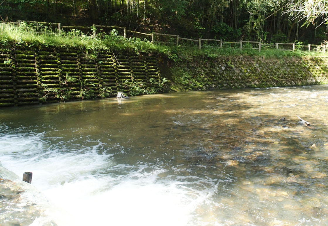 大阪府交野市河川護岸工（H11）