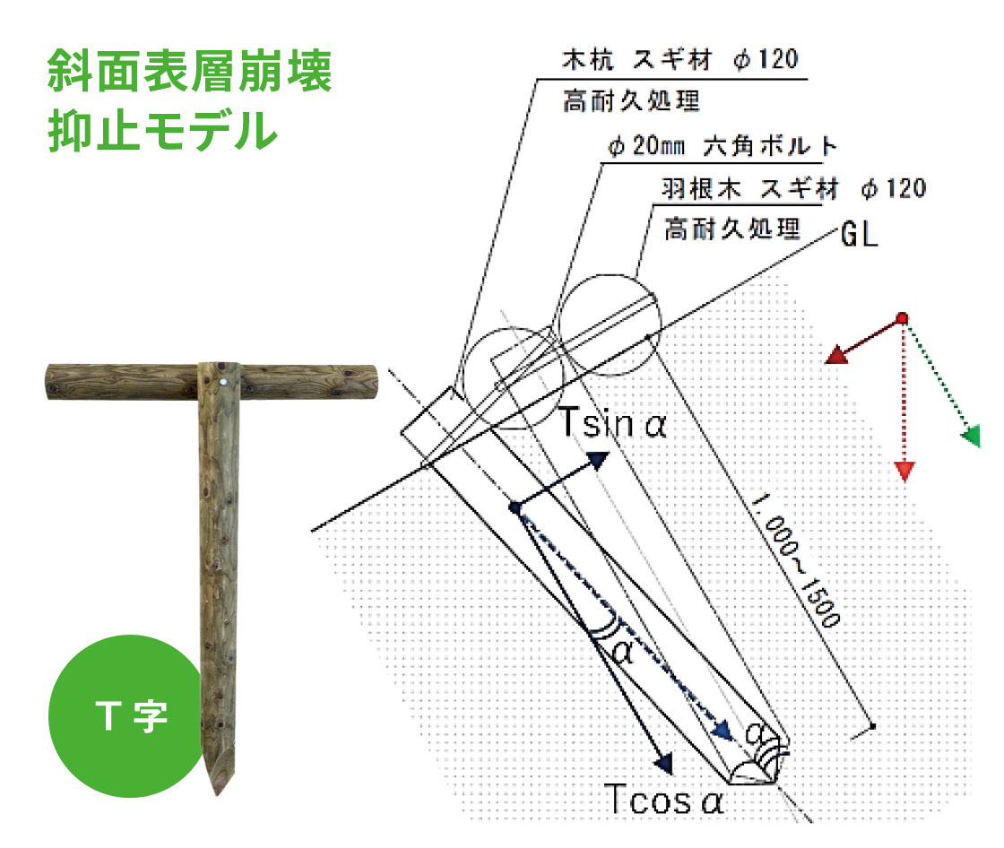 杭打ちのモデル写真