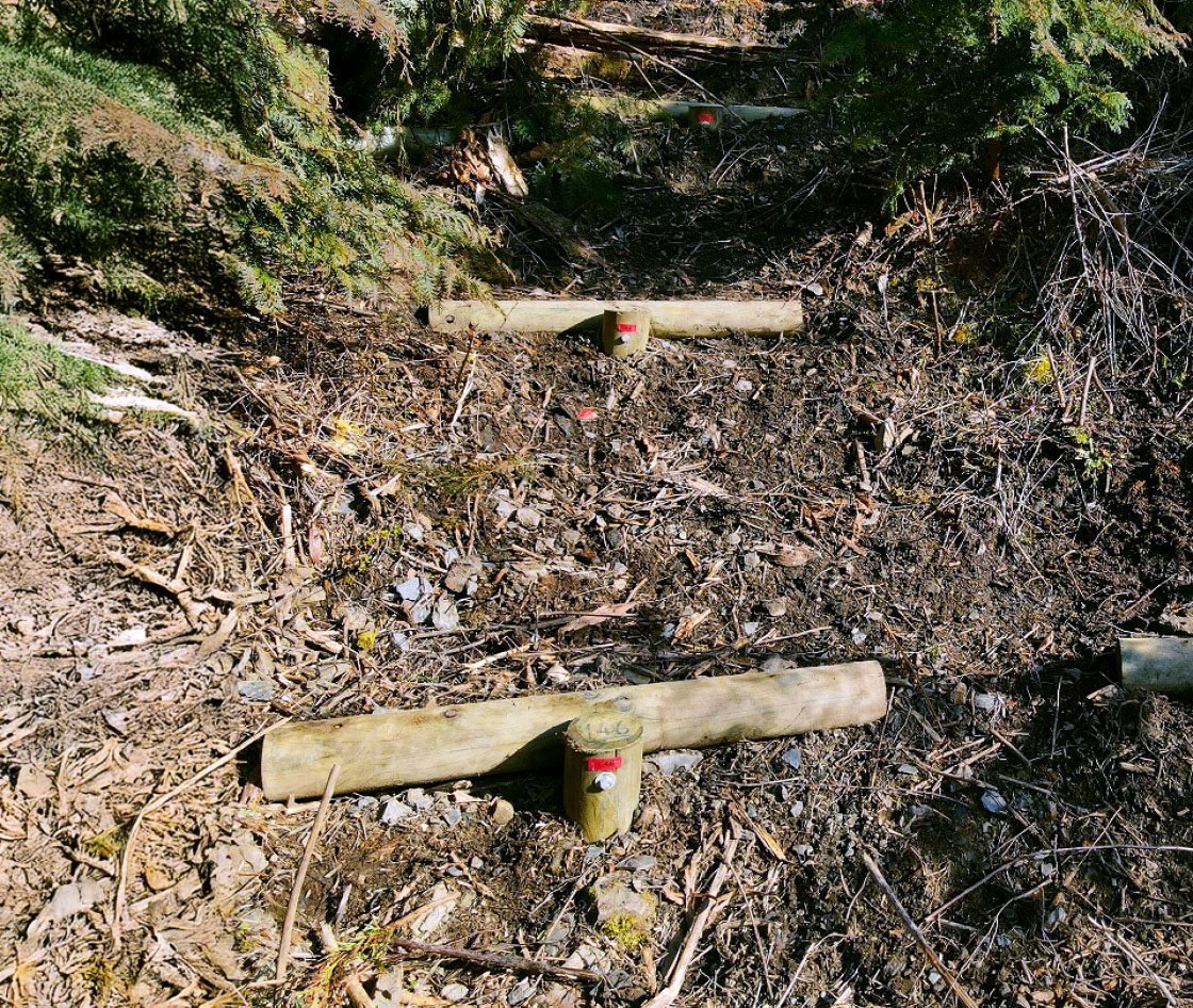 山腹に打った杭打ちの写真