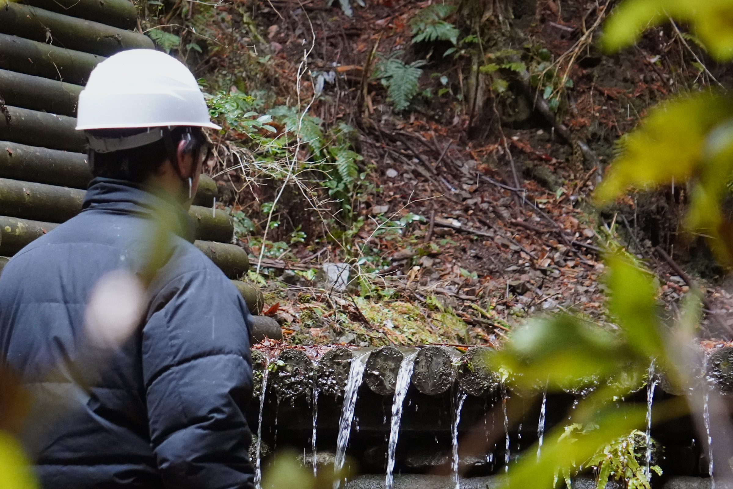 木材を利用した階段工