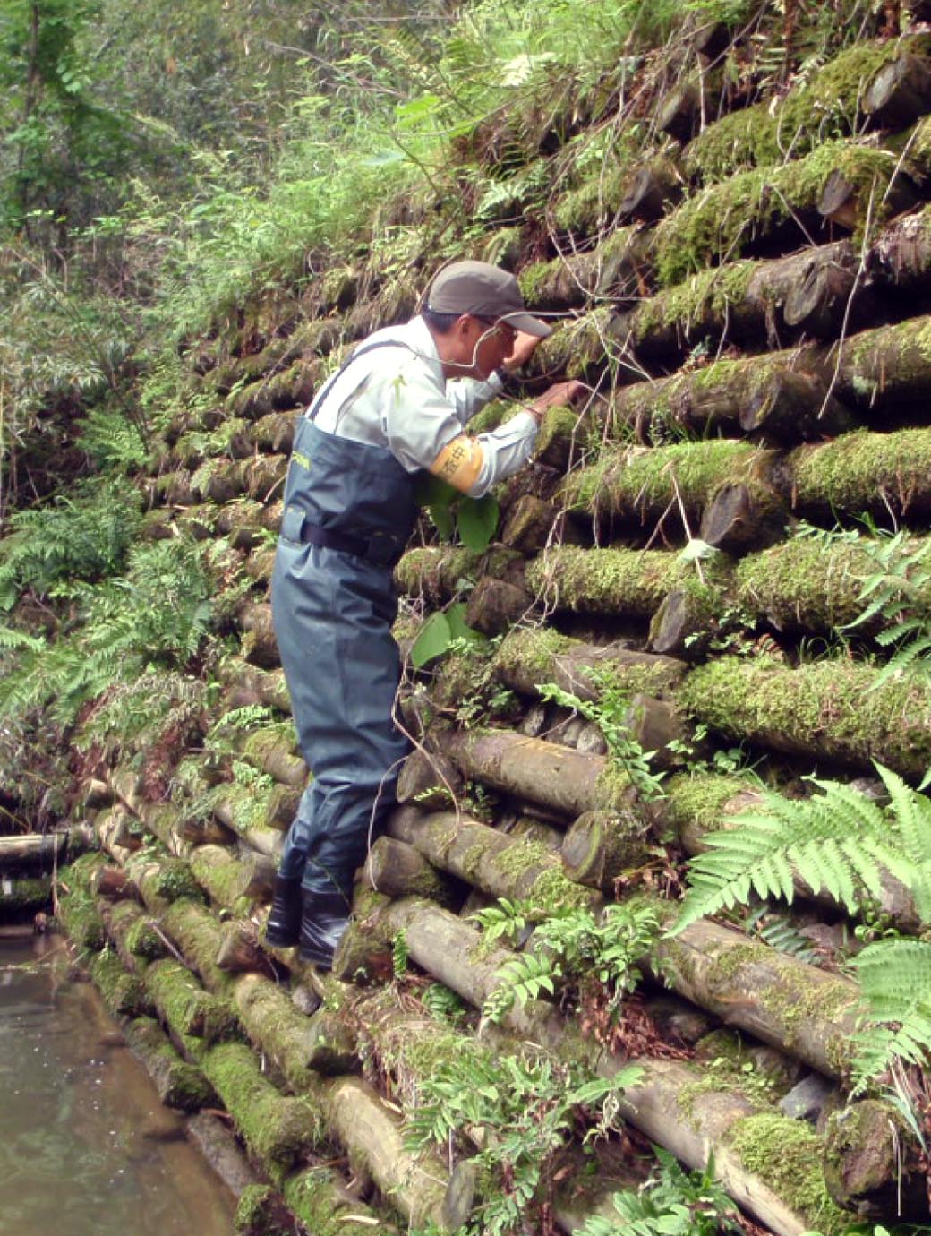 環境貢献について