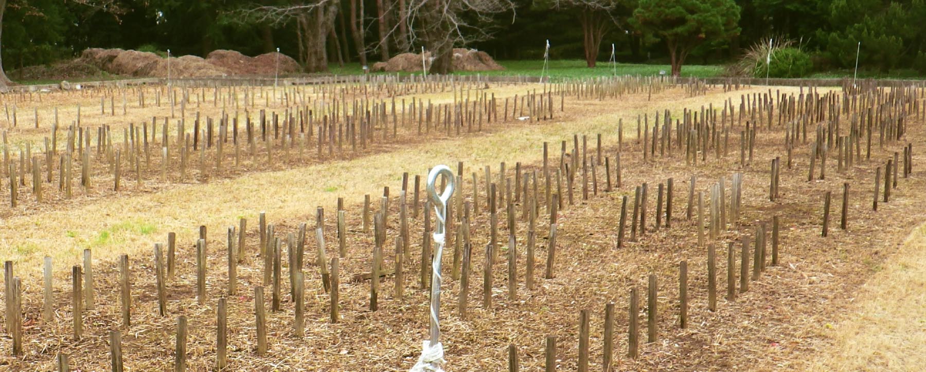 耐久性の試験の様子・茨城県