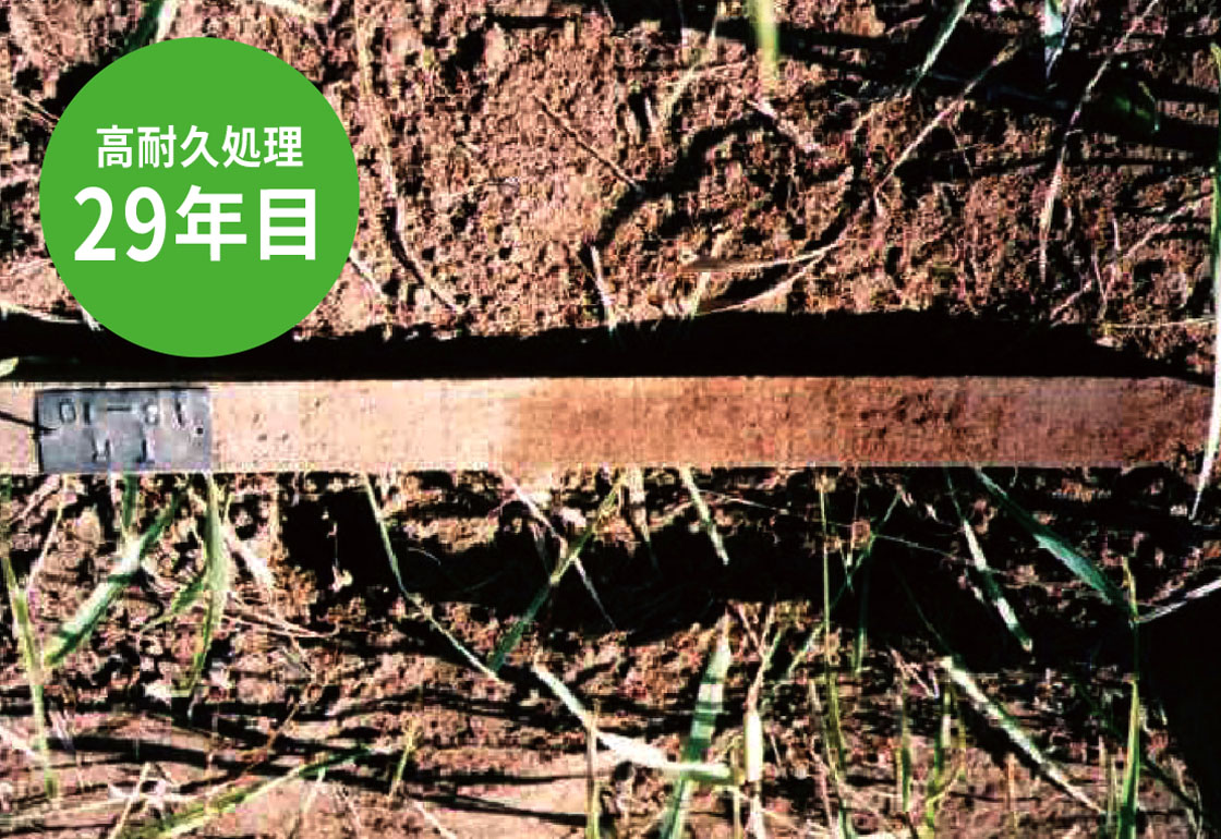 試験比較写真・高耐久処理木材