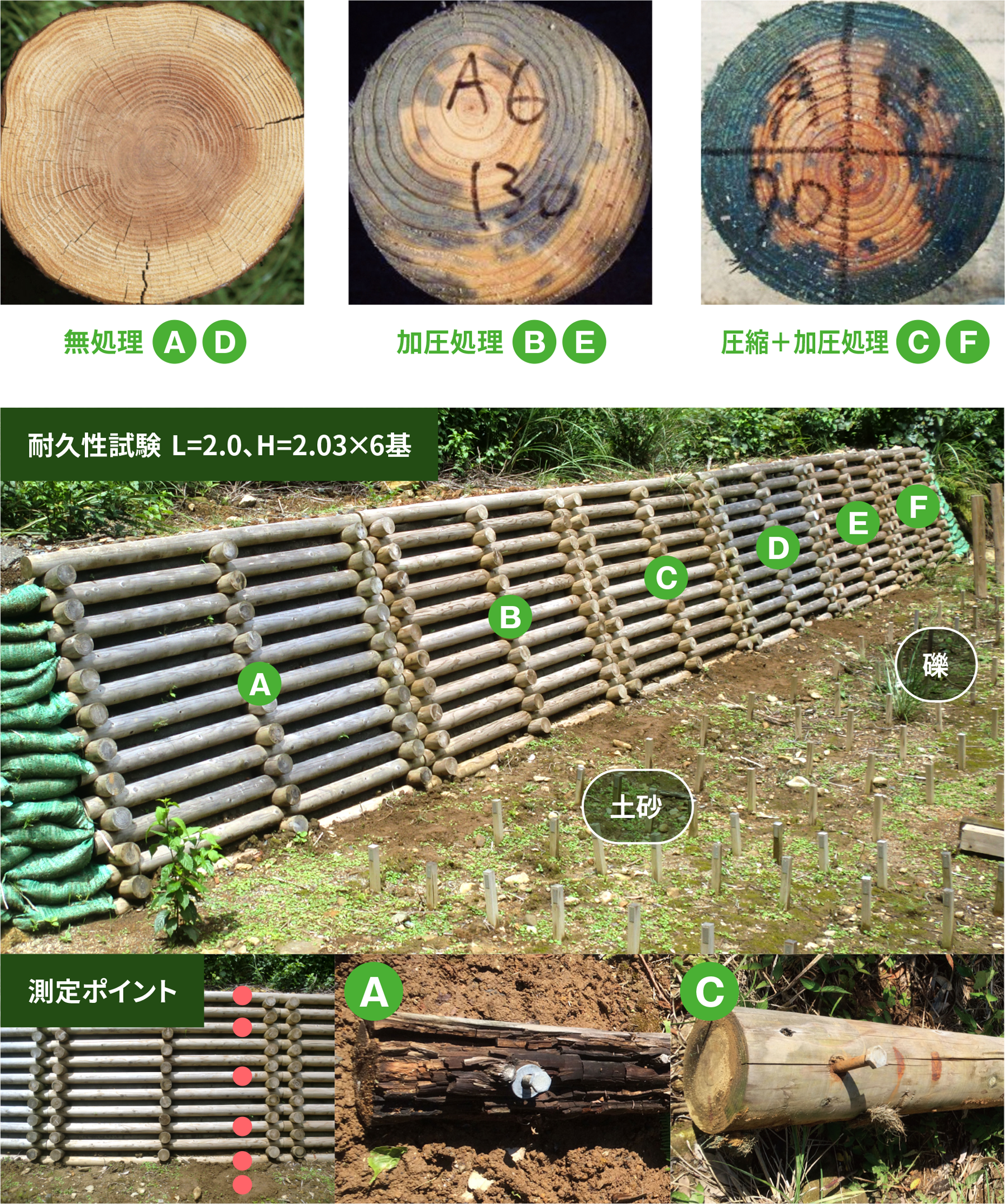 校倉式構造物・耐久性試験の結果